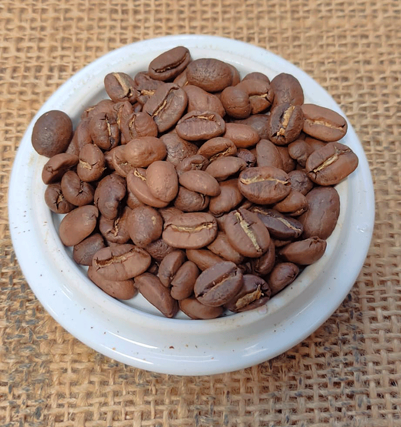 Kenya AA