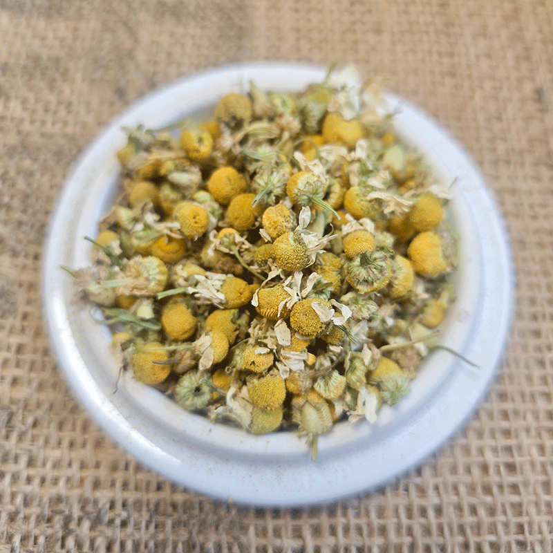 Manzanilla